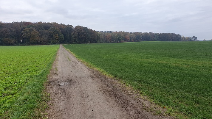 Wandeling over Trage Tocht Kranenburg op oude veldweg richting Reichswald