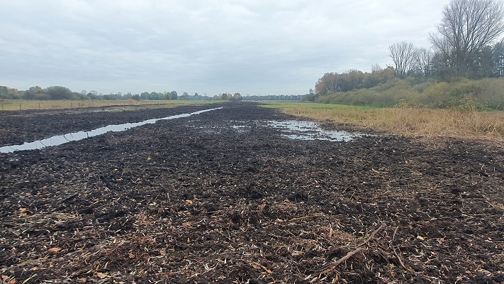 Wandeling over Trage Tocht Kranenburg bij het Kranenburger Bruch