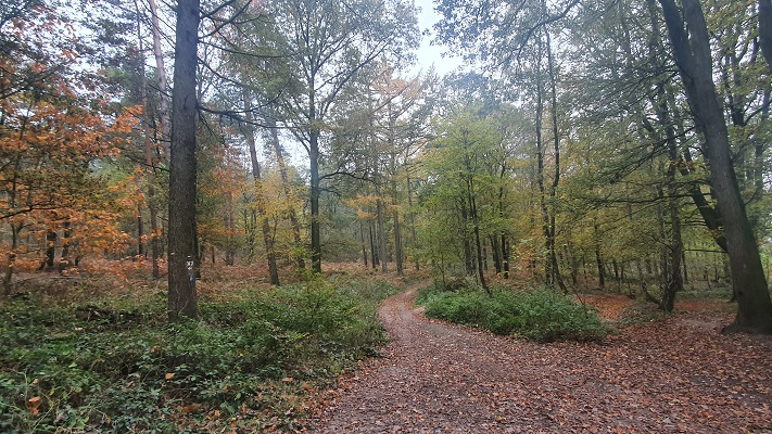 trage-tocht-kranenburg-2 Wandeling over Trage Tocht Kranenburg in het Reichswald