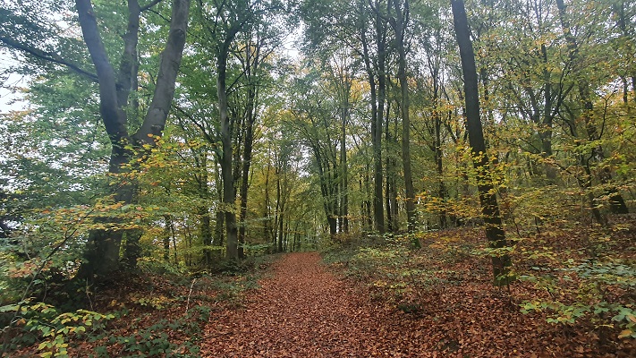 trage-tocht-kranenburg-3 Wandeling over Trage Tocht Kranenburg in het Reichswald