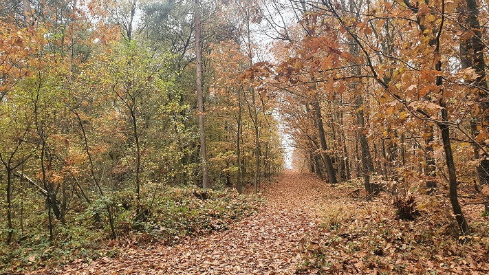trage-tocht-kranenburg-5 Wandeling over Trage Tocht Kranenburg in het Reichswald