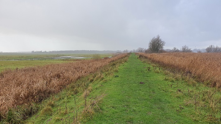 Wandeling over het Biesboschpad van Dordrecht naar Maasdam in de polder Groot Koninkrijk