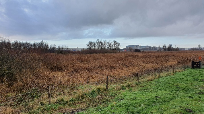 Wandeling over het Biesboschpad van Dordrecht naar Maasdam in de polder Groot Koninkrijk