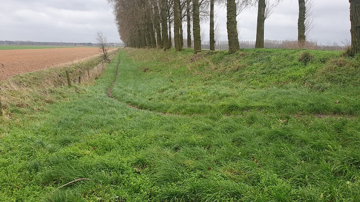 Wandeling over Grenslandpad van Kijkuit naar Oudeburgsesluis