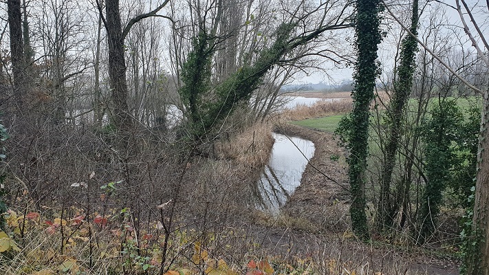 Wandeling over het Grenslandpad in Zeeuws-Vlaanderen bij kreek het Grote Gat