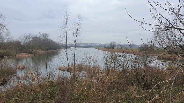 Wandeling over het Grenslandpad in Zeeuws-Vlaanderen bij kreek het Grote Gat