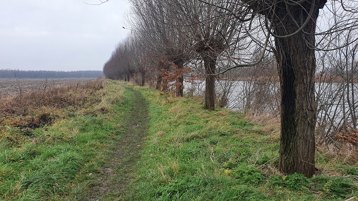 Wandeling over het Grenslandpad in Zeeuws-Vlaanderen bij de Canisvlietse Kreek