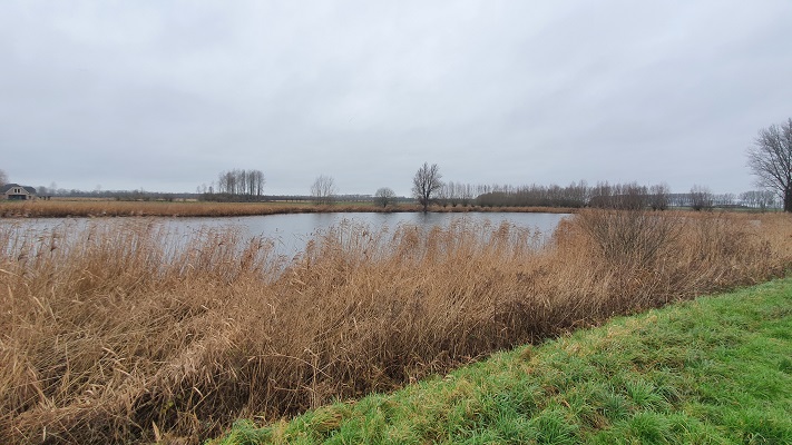 Wandeling over het Grenslandpad van Nieuw-Namen naar Kijkuit bij de Oude Vaart
