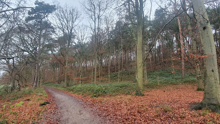 Rondwandeling Kessel in het Reichswald
