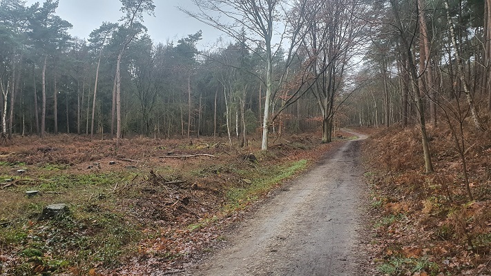 Rondwandeling Kessel in het Reichswald