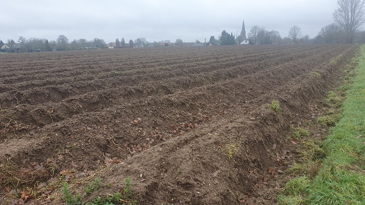 Rondwandeling Kessel bij aspergevelden