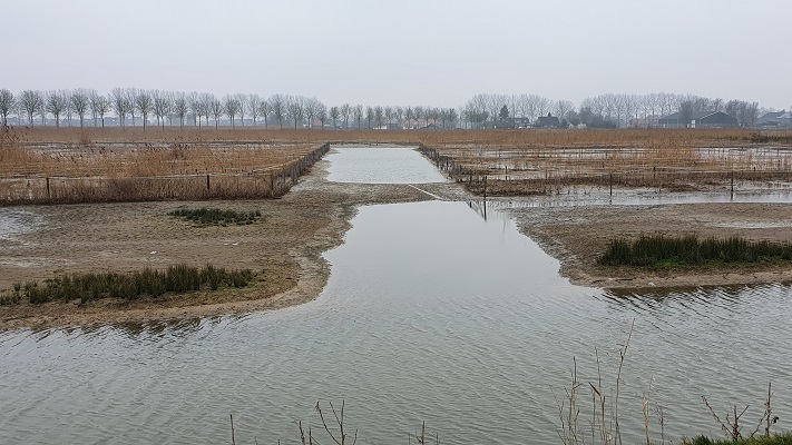 Wandeling KANkorter Arnhem Waterrijk bij de Rijkerswoerdse Plassen