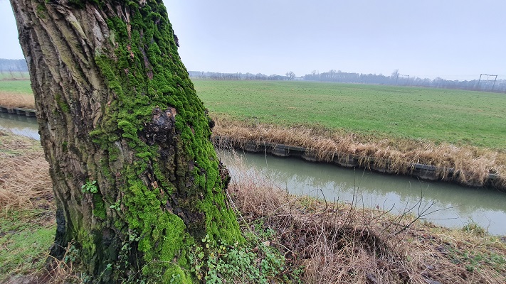 Wandeling KANkorter Arnhem Waterrijk