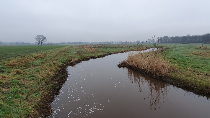 Wandeling over Groene Wissel Helmond Brouwhuis bij de Bakelse Aa