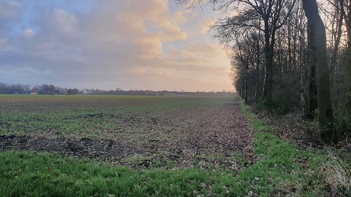 Mijmerroute Odiliapeel