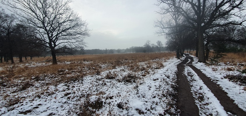 Wandeling over de Mr. van Tienhovenroute in de Kampina