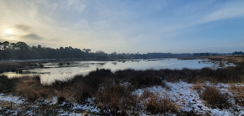 Wandeling over de Mr. van Tienhovenroute bij het Kogelvangersven