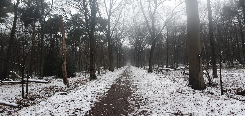 Wandeling over de Mr. van Tienhovenroute