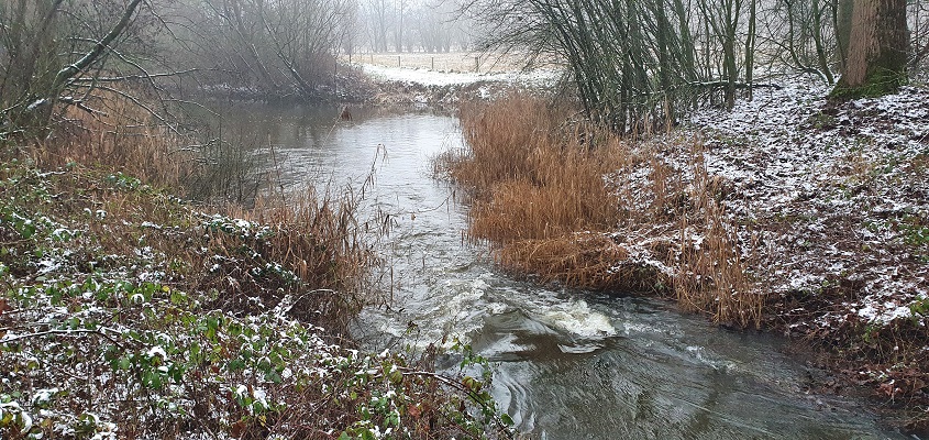 Wandeling over de Mr. van Tienhovenroute langs de Beerze