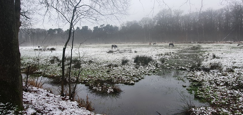 Wandeling over de Mr. van Tienhovenroute
