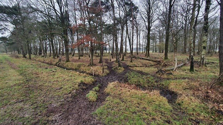 Trage Tocht Lennisheuvel