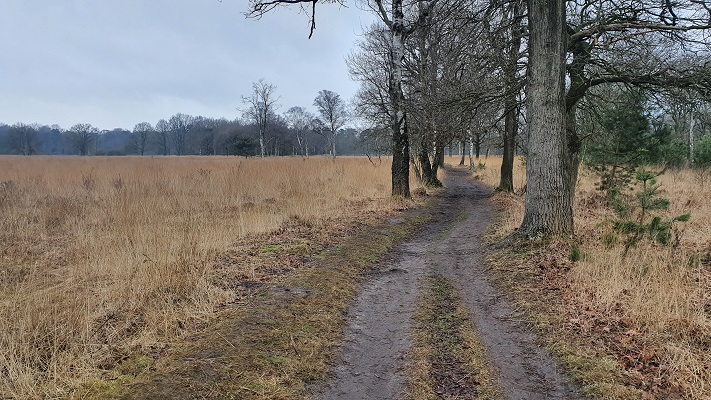 Trage Tocht Lennisheuvel op de Kampina