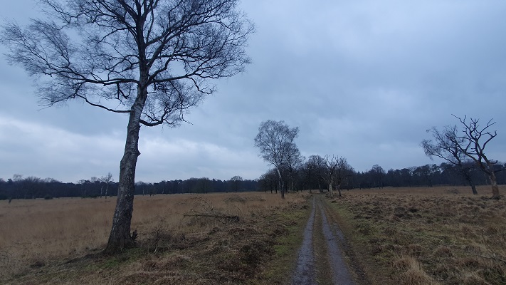 Trage Tocht Lennisheuvel op de Kampina
