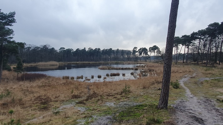 Trage Tocht Lennisheuvel bij het Ansumsven