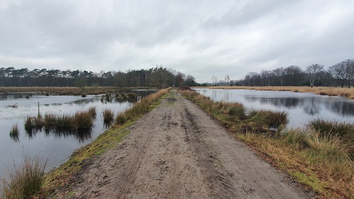 Trage Tocht Lennisheuvel bij het Ansumsven