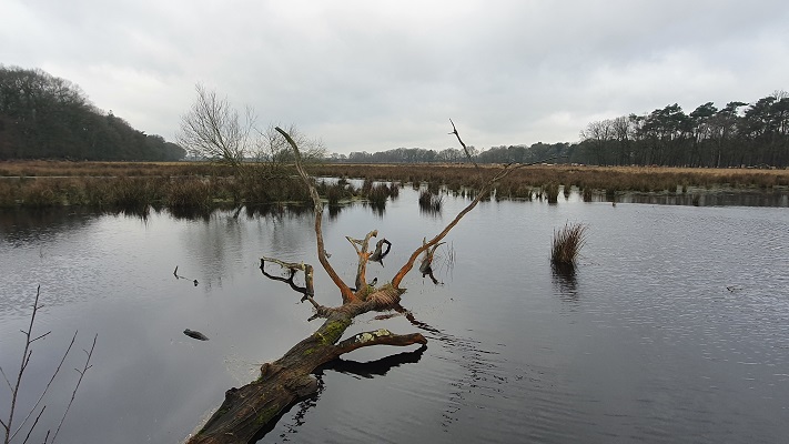 Trage Tocht Lennisheuvel bij het Ansumsven