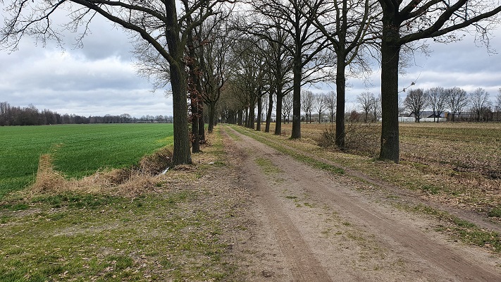 Trage Tocht Lennisheuvel