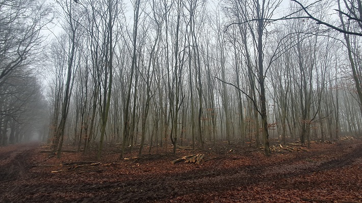 Trage Tocht Nijmegen-Heyendaal-Dukenburg bij Elshof