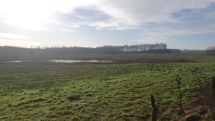Wandelen over Trage Tocht Overloon bij het dal van de Loobeek