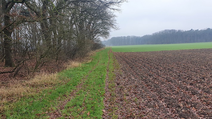 Wandeling over conceptroute Trage Tocht Vredepeel