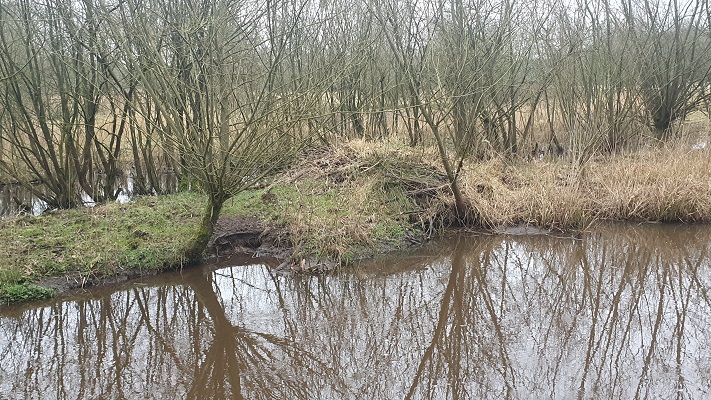 Grenswandeling Mariahof bij een beverburcht