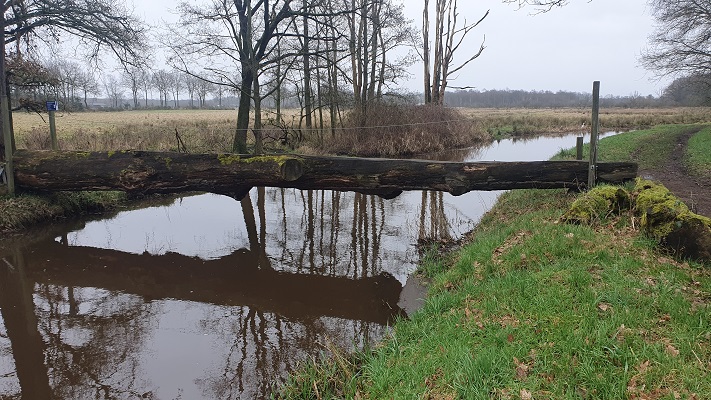 grenswandeling-mariahof-18 Grenswandeling Mariahof bij de Abeek