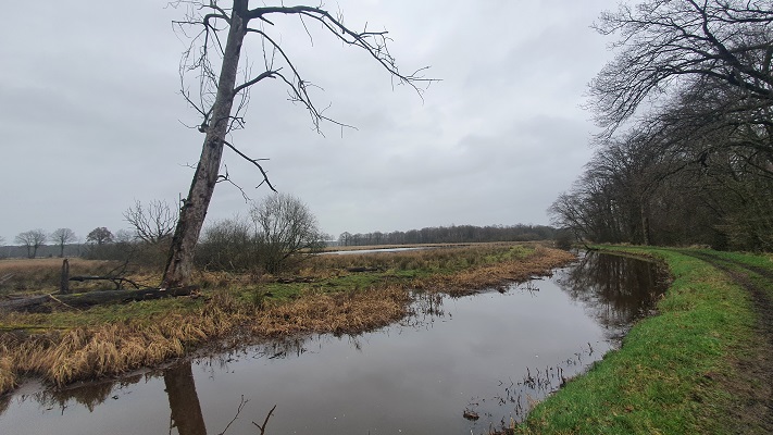 grenswandeling-mariahof-20 Grenswandeling Mariahof bij de Abeek
