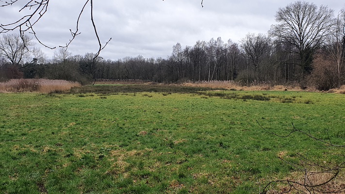 grenswandeling-mariahof-30 Grenswandeling Mariahof in het Strampooierbroek