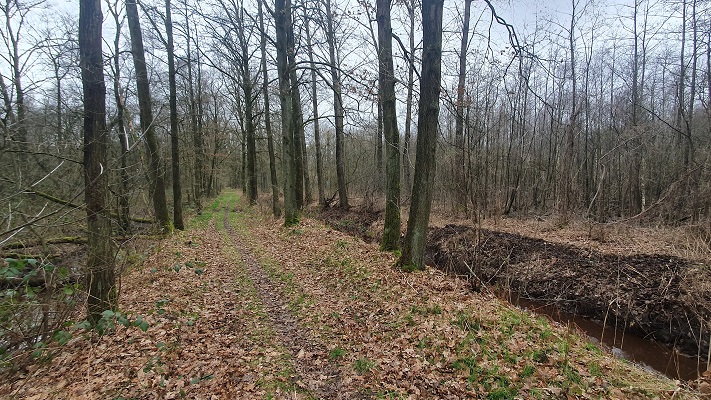 Grenswandeling Mariahof in het bosreservaat Grootbroek