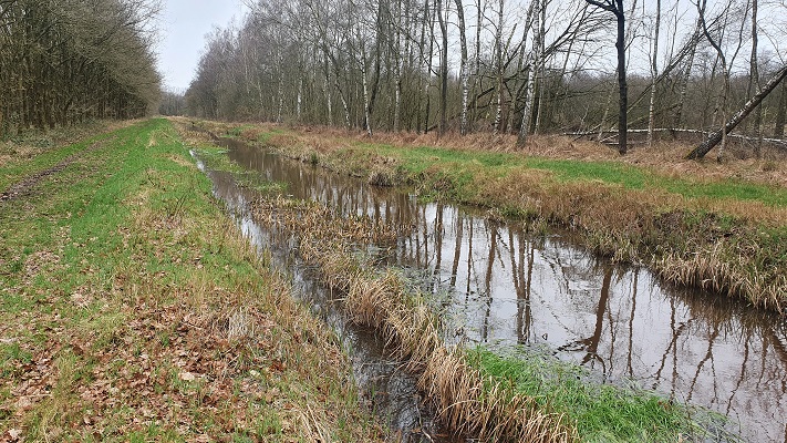Grenswandeling Mariahof in het bosreservaat Grootbroek