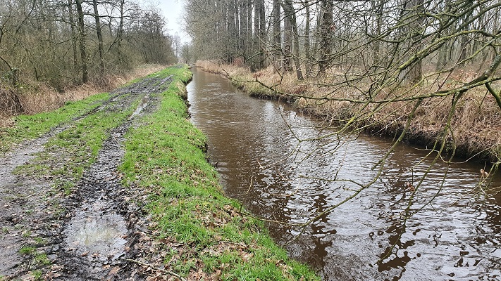 Grenswandeling Mariahof in het bosreservaat Grootbroek
