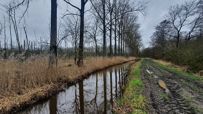 grenswandeling-mariahof-38 Grenswandeling Mariahof bij de Abeek
