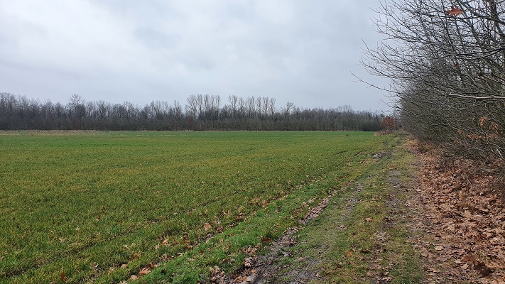 grenswandeling-mariahof-39 Grenswandeling Mariahof
