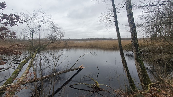 grenswandeling-mariahof-4 Grenswandeling Mariahof bij De Luysen