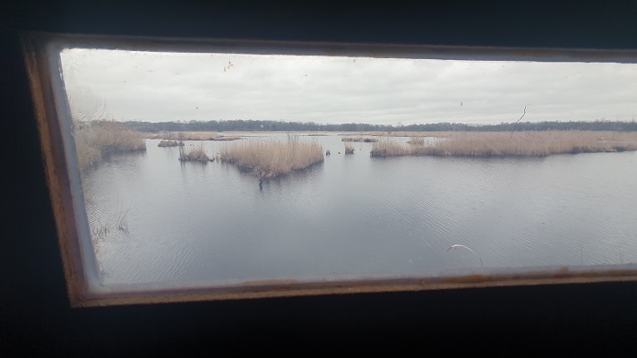 Grenswandeling Mariahof bij De Luysen