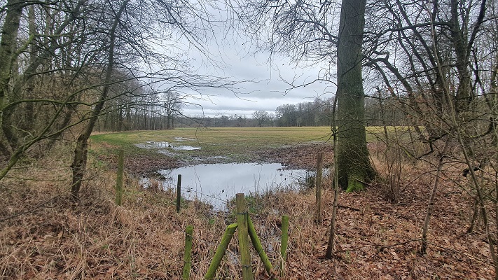 grenswandeling-mariahof-7 Grenswandeling Mariahof bij De Luysen