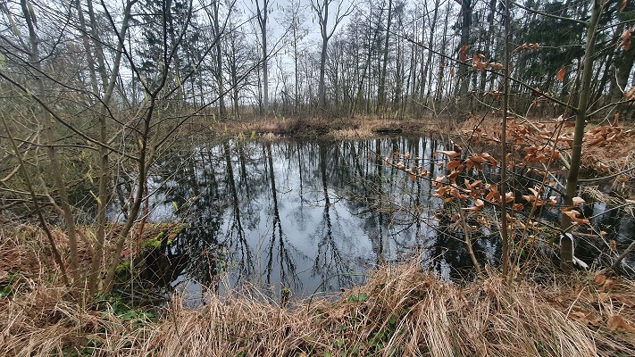 Grenswandeling Mariahof bij De Luysen