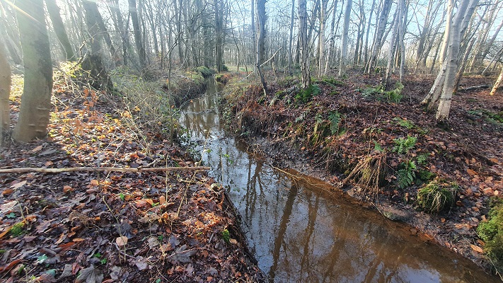 Wandeling over smokkelpaden bij de Chaamse Beek bij Strijbeek
