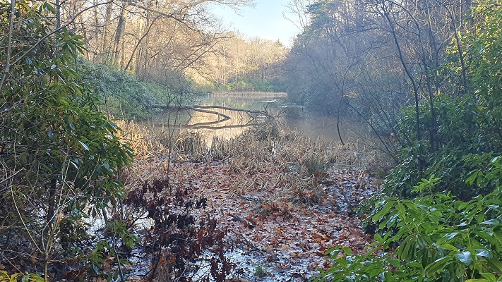 Wandeling over smokkelpaden bij de Chaamse Beek bij Strijbeek