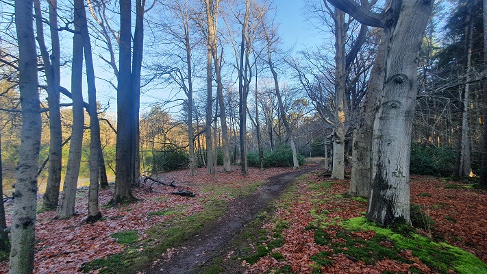 Wandeling over smokkelpaden bij Strijbeek